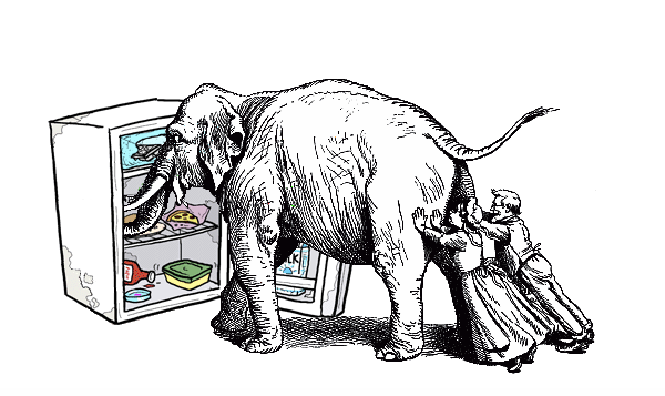 How do you put an elephant in your fridge?